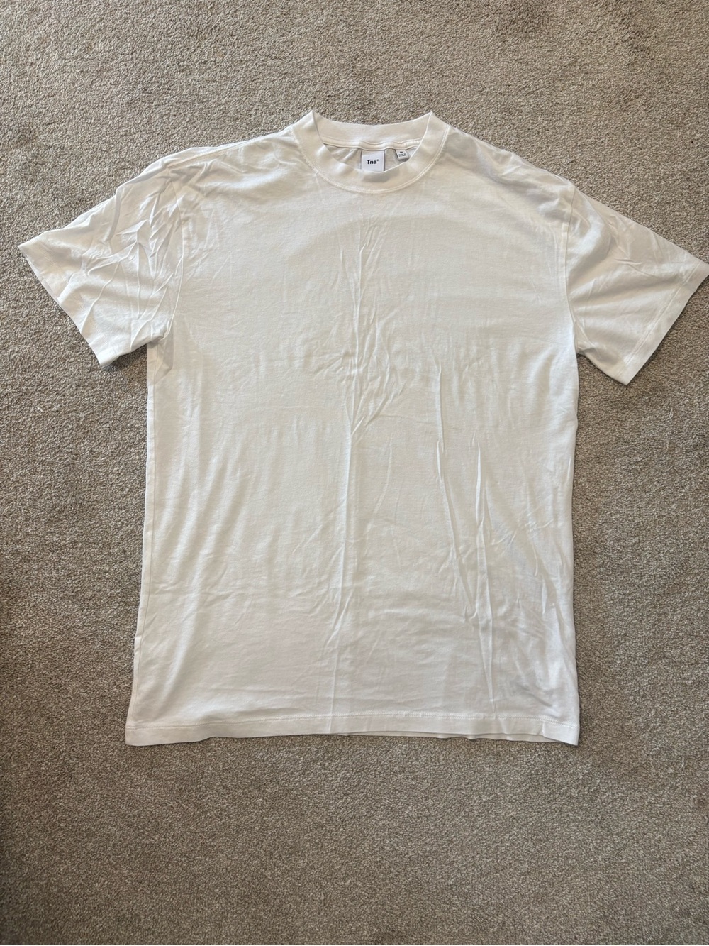 Aritzia TNA Oversized Tee